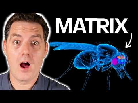 Does This Worm Prove We're In a Simulation? 영상 썸네일