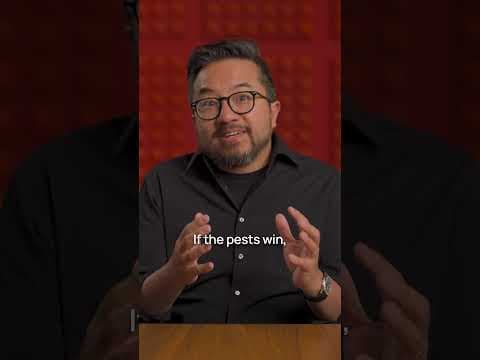 AI for Low-Pesticide Agriculture 영상 썸네일