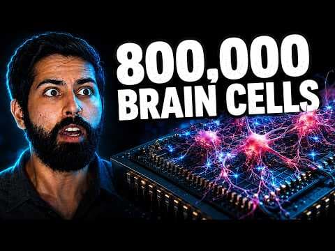 This Computer Is Made of Real Human Neurons (I Programmed It) 영상 썸네일