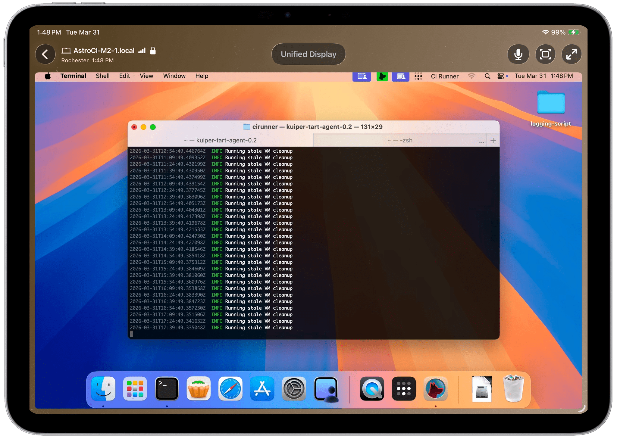 iPad에서 터미널을 통해 Mac Mini의 VM 클린업 로그를 확인하는 화면