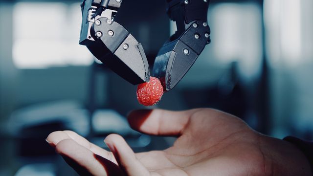실험에 사용된 LeRobot 101 로봇 팔의 모습.