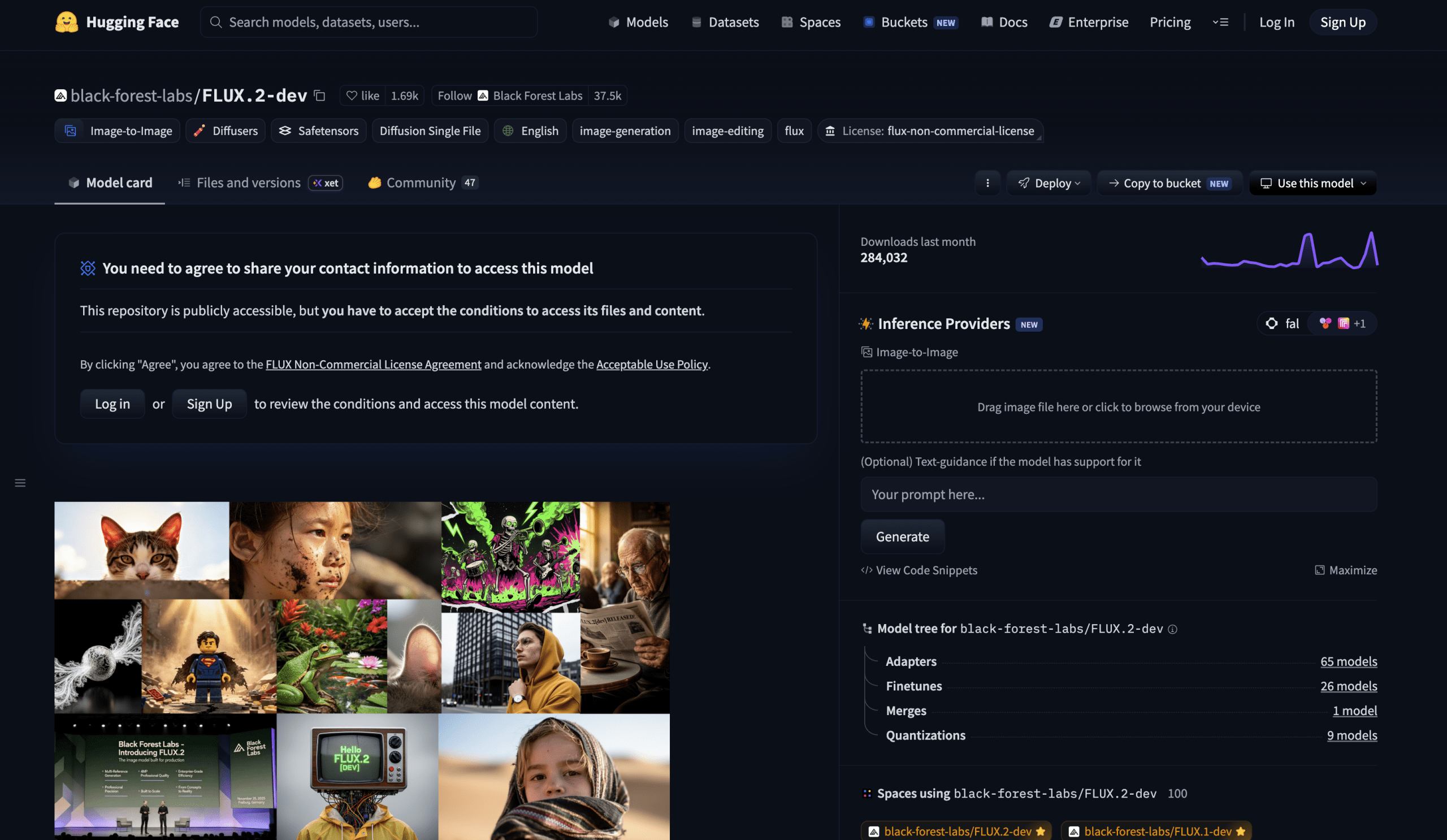 FLUX.2 Dev 모델 대시보드 화면