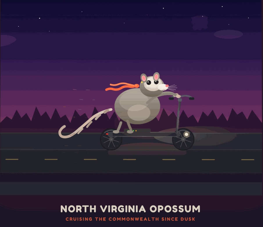 GLM-5.2가 생성한 주머니쥐(opossum)가 전동 스쿠터를 타는 애니메이션 SVG.