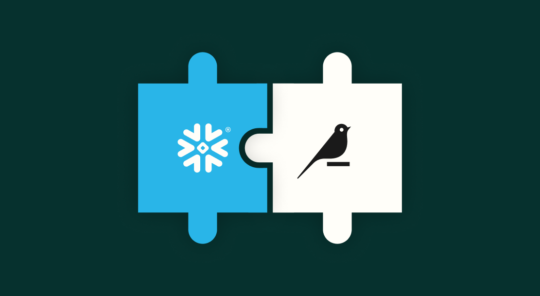 Snowflake와 Dataiku의 상호 보완적 관계를 나타내는 퍼즐 다이어그램.