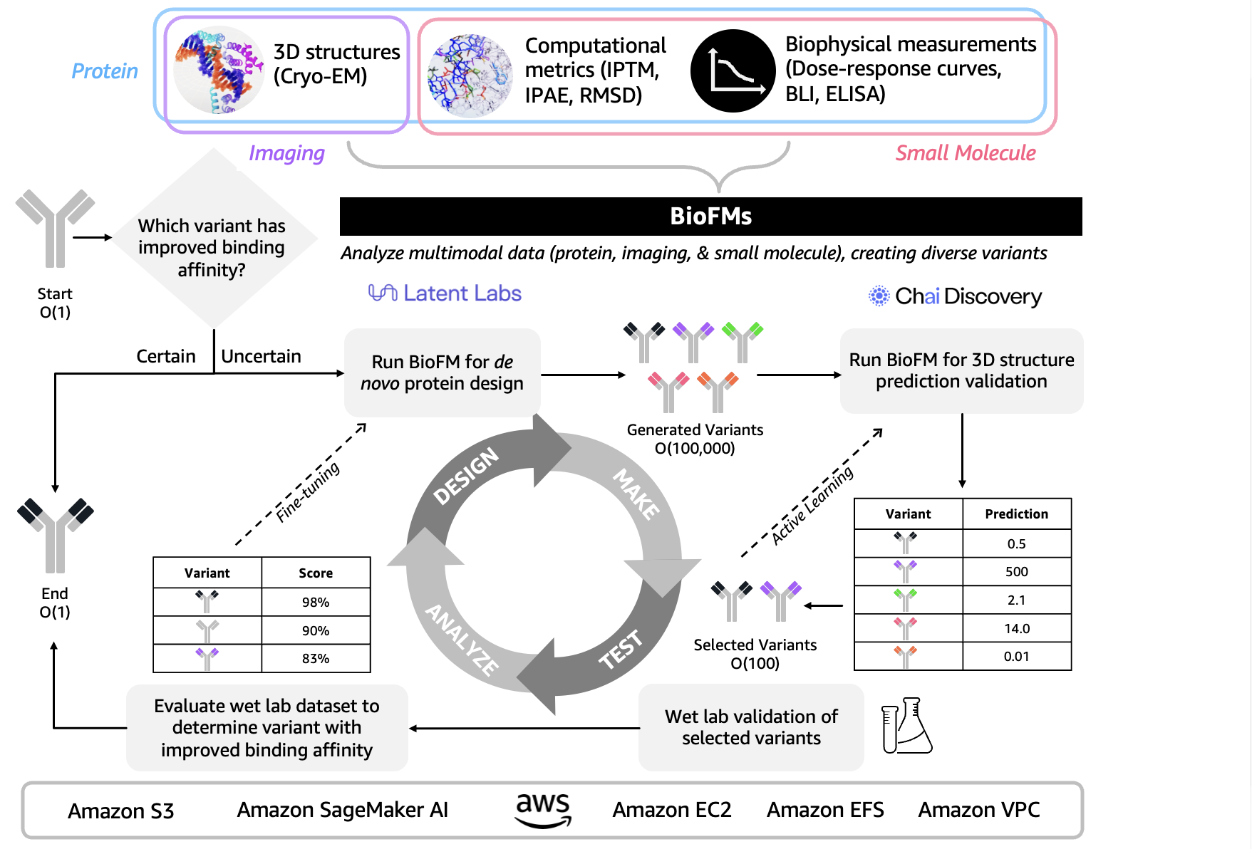 단백질 설계를 위한 BioFM 기반 DMTA 루프 및 AWS 서비스 아키텍처