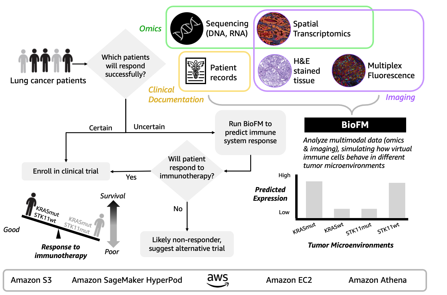 암 환자의 면역 요법 반응 예측을 위한 멀티모달 BioFM 워크플로