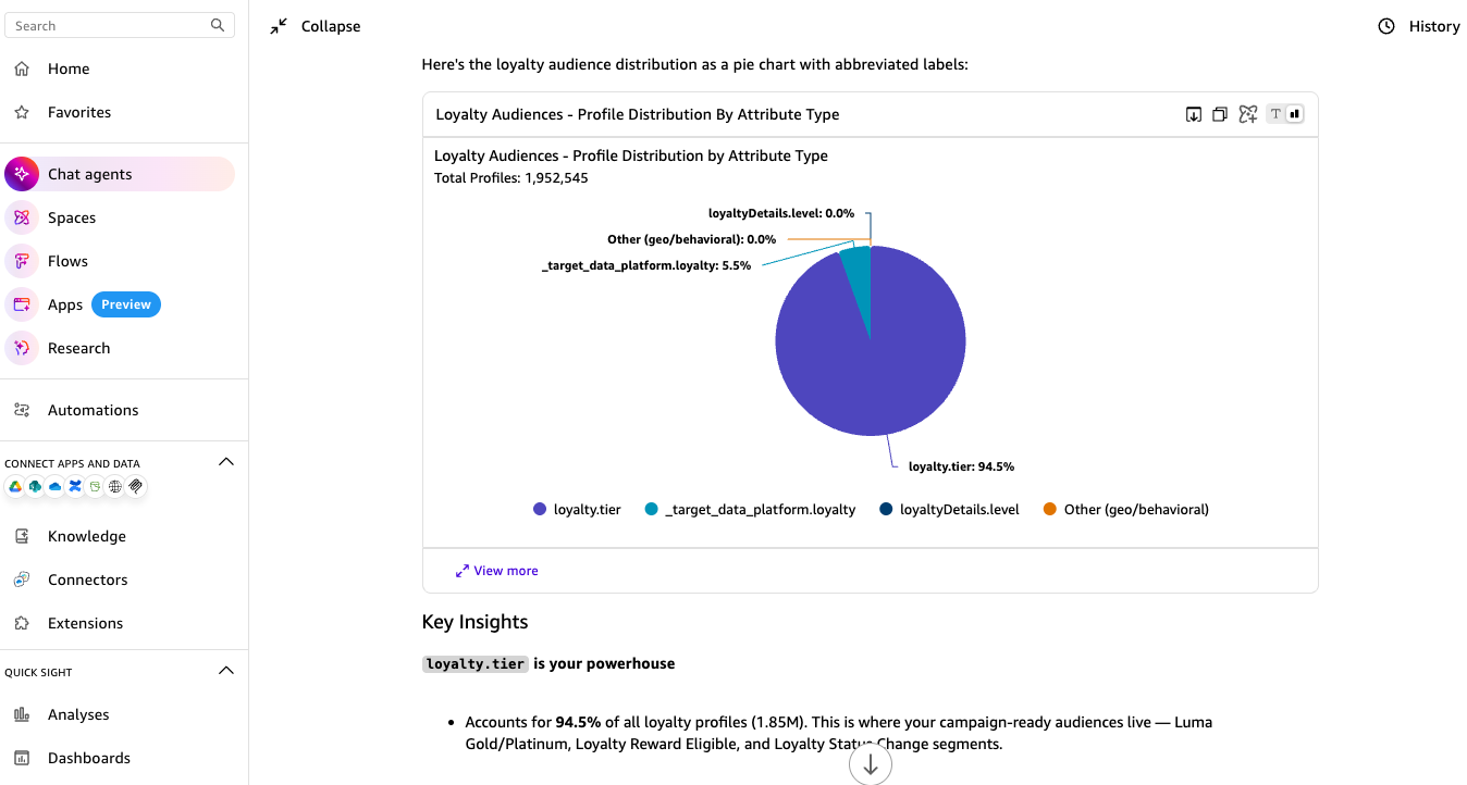 Loyalty audience distribution – attribute-type breakdown with segment-level observations