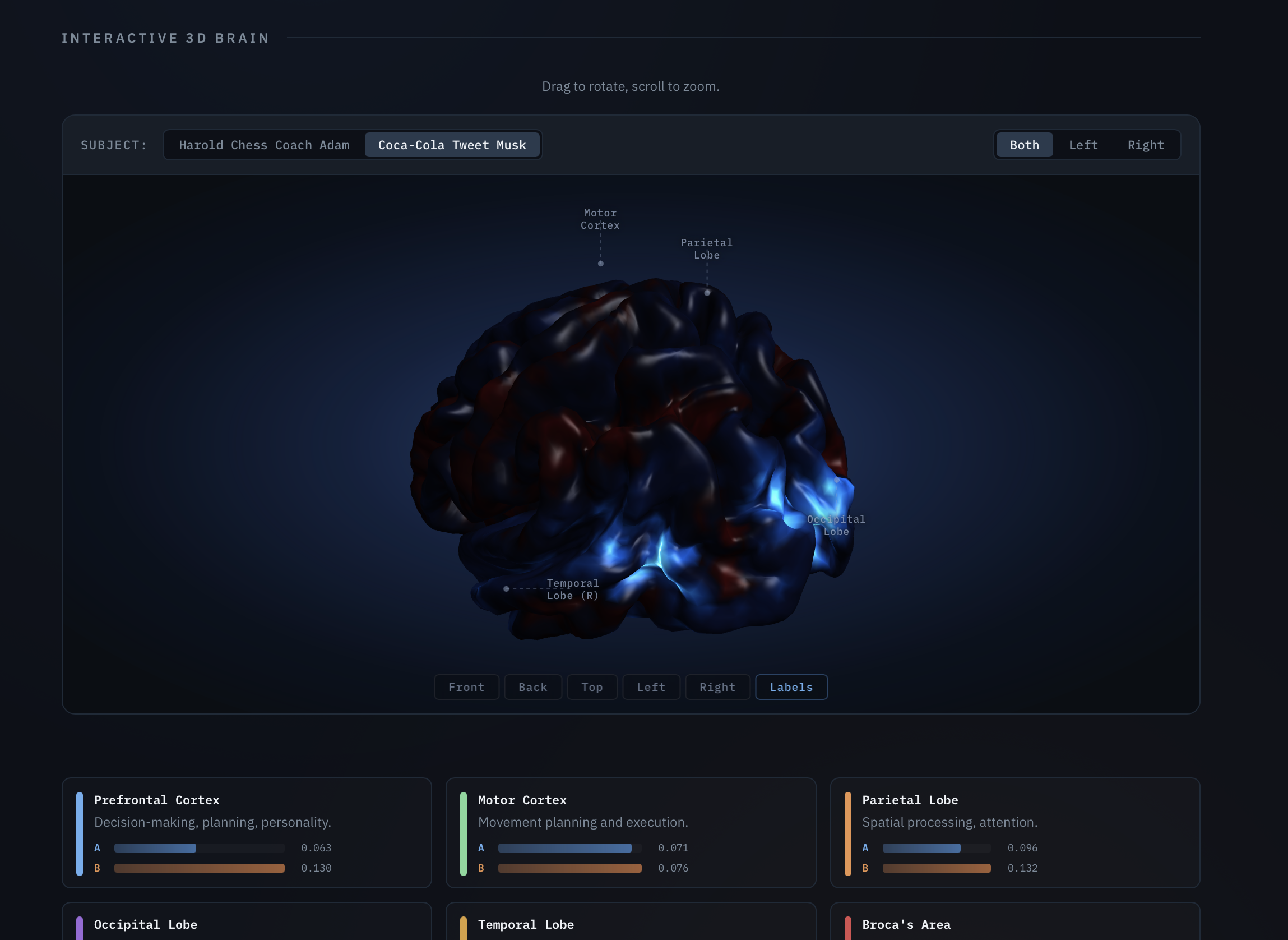 Interactive 3D Brain 인터페이스를 통해 특정 텍스트에 대한 뇌 부위별 반응 수치를 시각화한 화면이다.