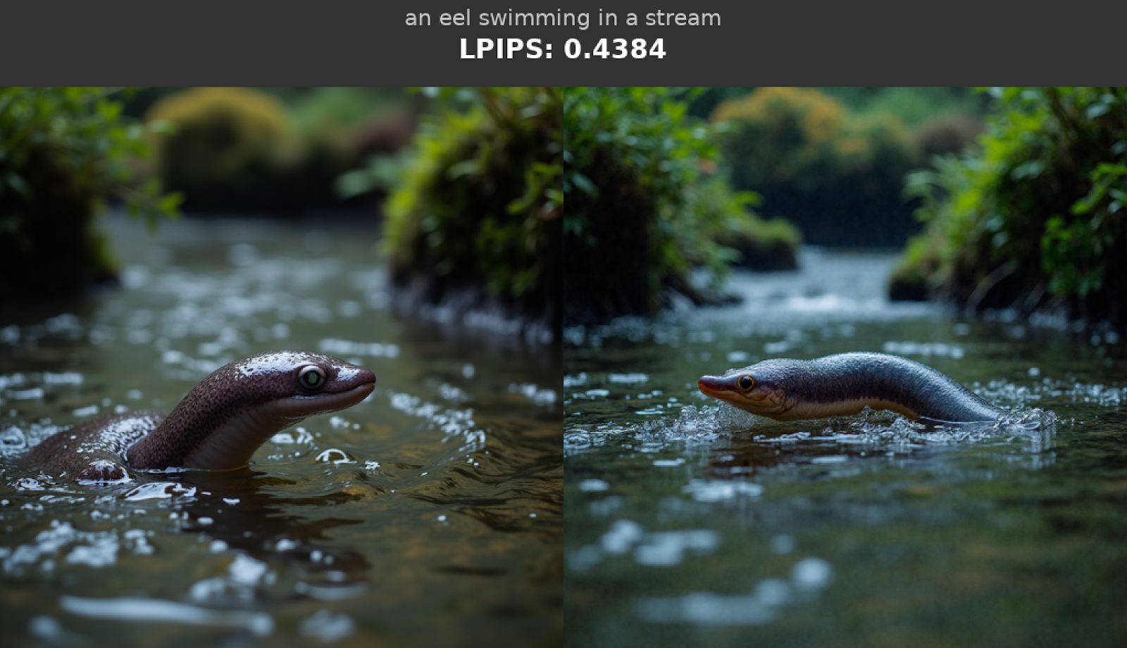 LPIPS 점수 0.4384를 기록한 원본과 양자화 모델 간의 생성 이미지 비교 (장어)