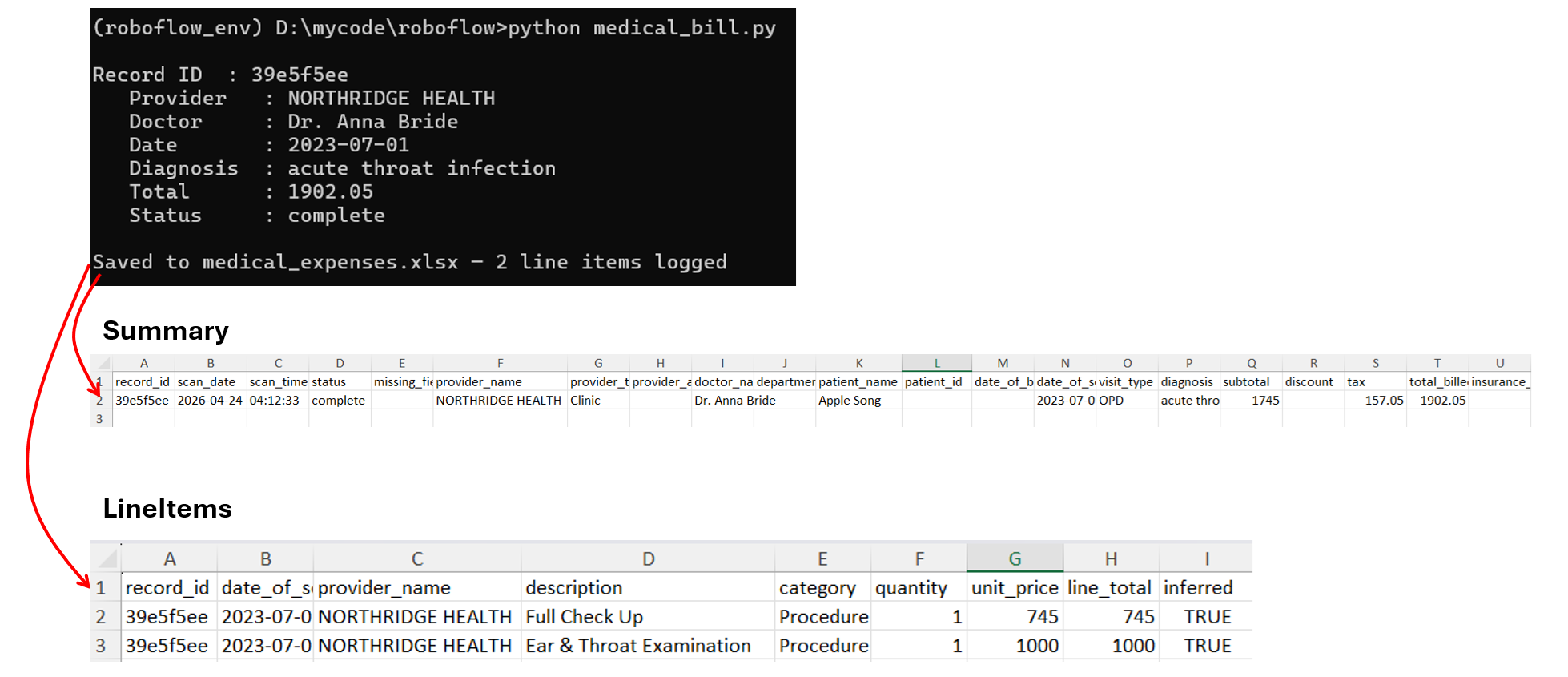 Python 스크립트 실행 결과와 생성된 엑셀 파일의 데이터 구조