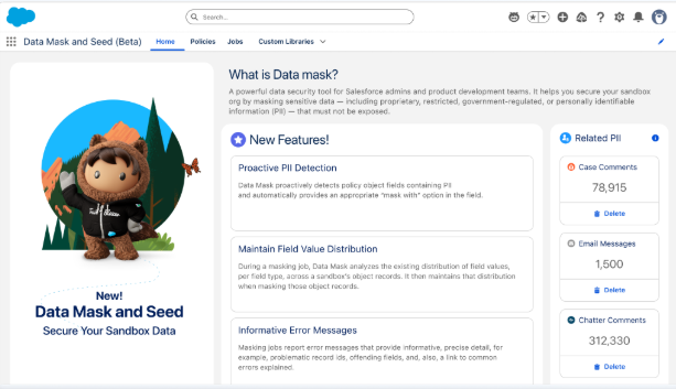 Data Mask and Seed 기능의 대시보드 화면.